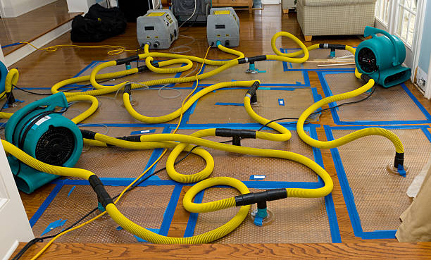 Professional Basement Flood Cleanup technician working in Farwell, TX